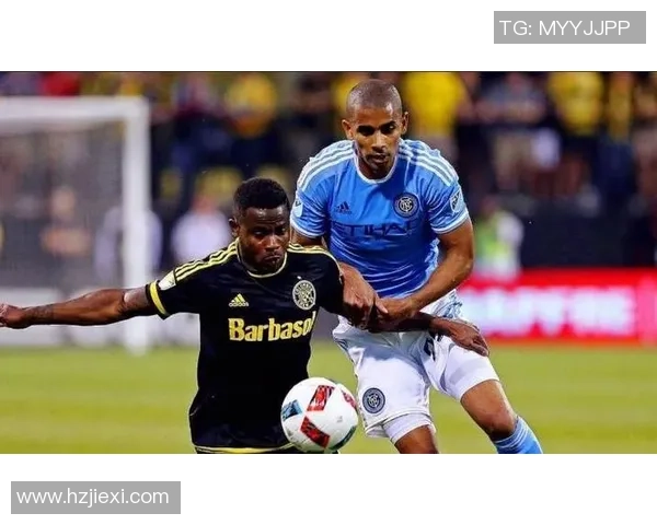 芝加哥与新英格兰对决谁能胜出精彩分析与预测